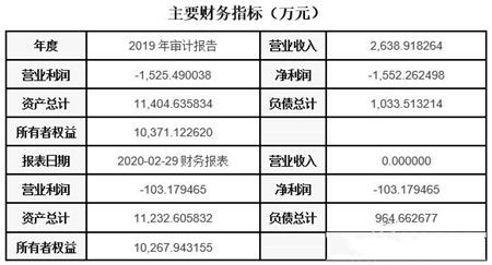 上海软件和信息技术服务公司转让项目040523 信息系统集成服务商机